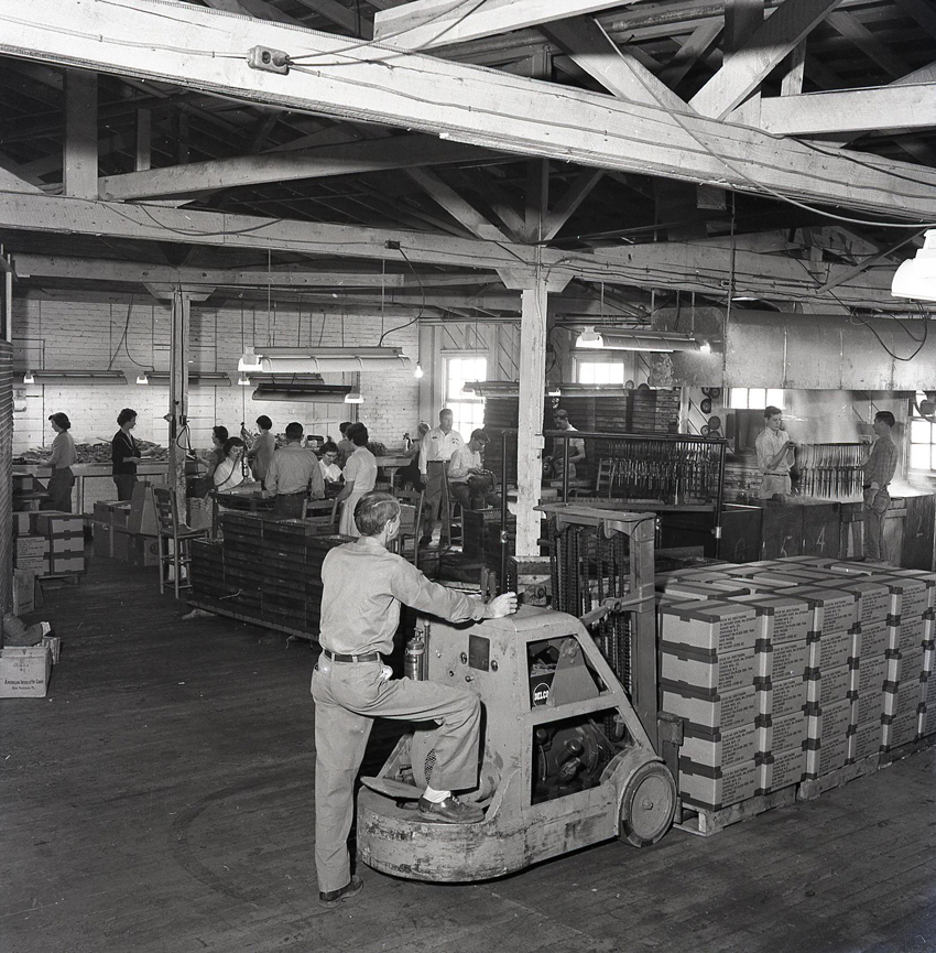 Sealed, labeled cartons placed on wooden pallets ready for shipment.